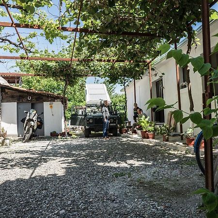Eco Garten Guest House Shkodër Eksteriør bilde