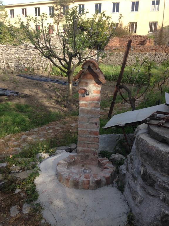 Eco Garten Guest House Shkodër Eksteriør bilde