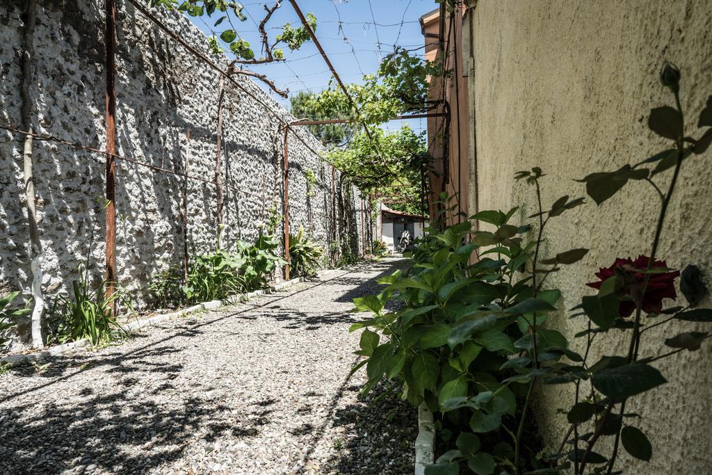 Eco Garten Guest House Shkodër Eksteriør bilde