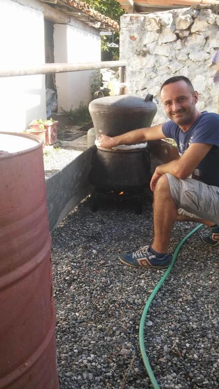 Eco Garten Guest House Shkodër Eksteriør bilde