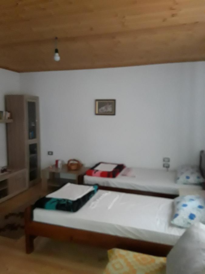 Eco Garten Guest House Shkodër Eksteriør bilde