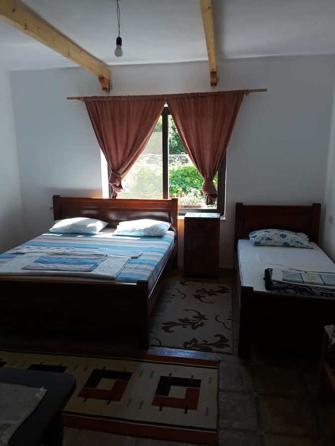 Eco Garten Guest House Shkodër Eksteriør bilde