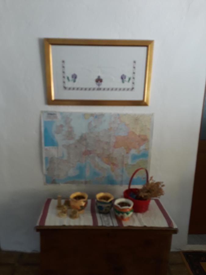 Eco Garten Guest House Shkodër Eksteriør bilde